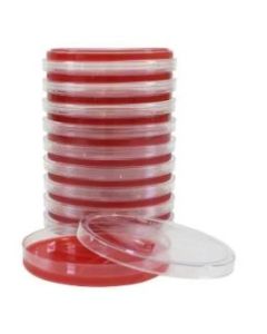 BLOOD AGAR PLATE (5% SB/TSA) PK/10