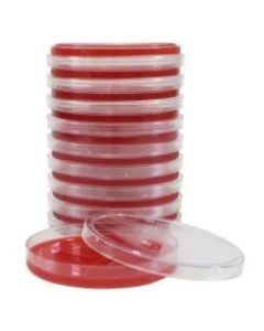 Campy CVA AGAR Pack of 10