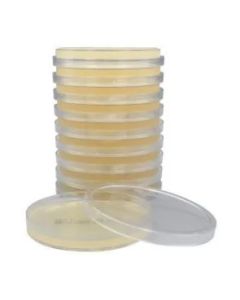 Mueller Hinton Agar 15 X 100MM 10/PK